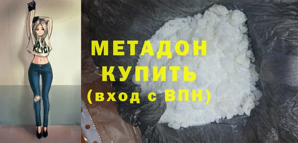прущие грибы Абаза