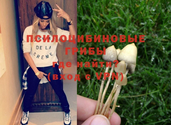 шишки Алексин