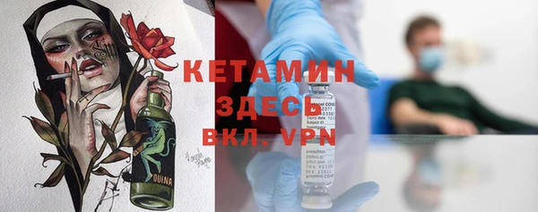 прущие грибы Абаза