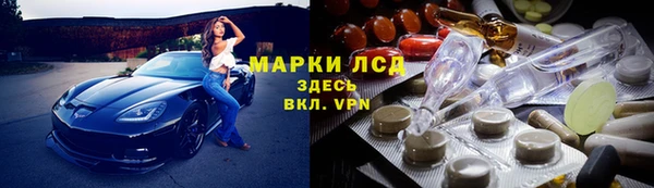 сатива Алзамай