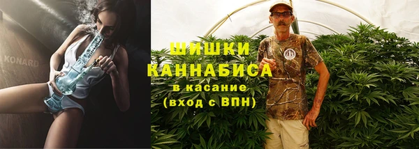 шишки Алексин
