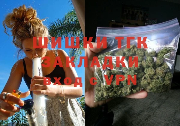 прущие грибы Абаза