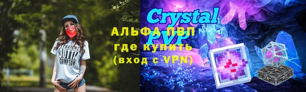 прущие грибы Абаза