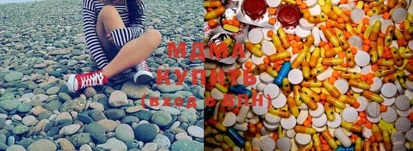 ГАЛЛЮЦИНОГЕННЫЕ ГРИБЫ Михайлов