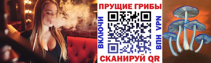 Псилоцибиновые грибы мицелий  хочу   Королёв 